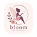 BloomSupport - Accueil
